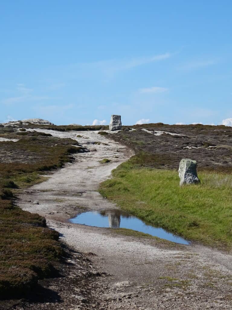 Winding trail through grass and old heather fields