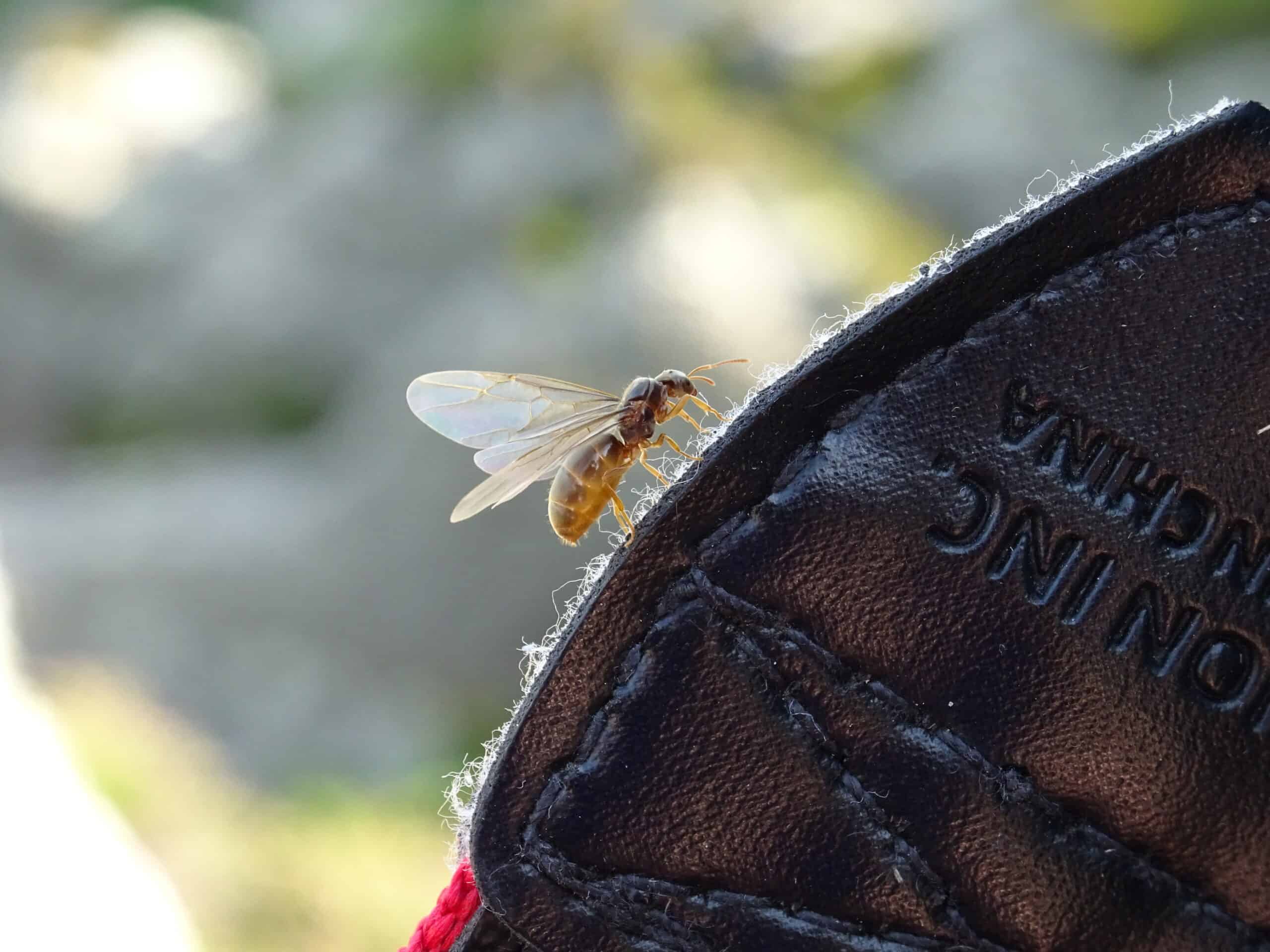 You are currently viewing How Often Should You Change Clothes When Backpacking?