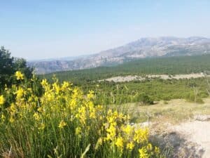 Read more about the article What Are The Benefits Of Good Hiking Clothes?