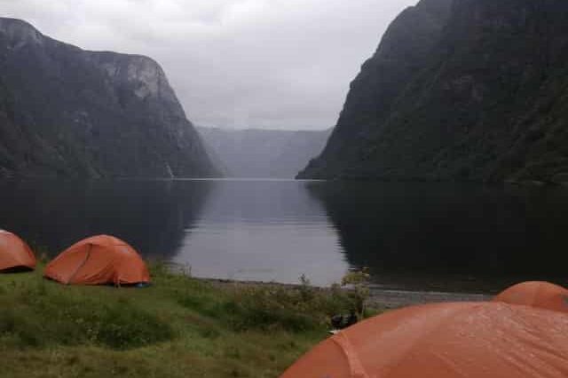 You are currently viewing How To Dry A Wet Tent In An Apartment?