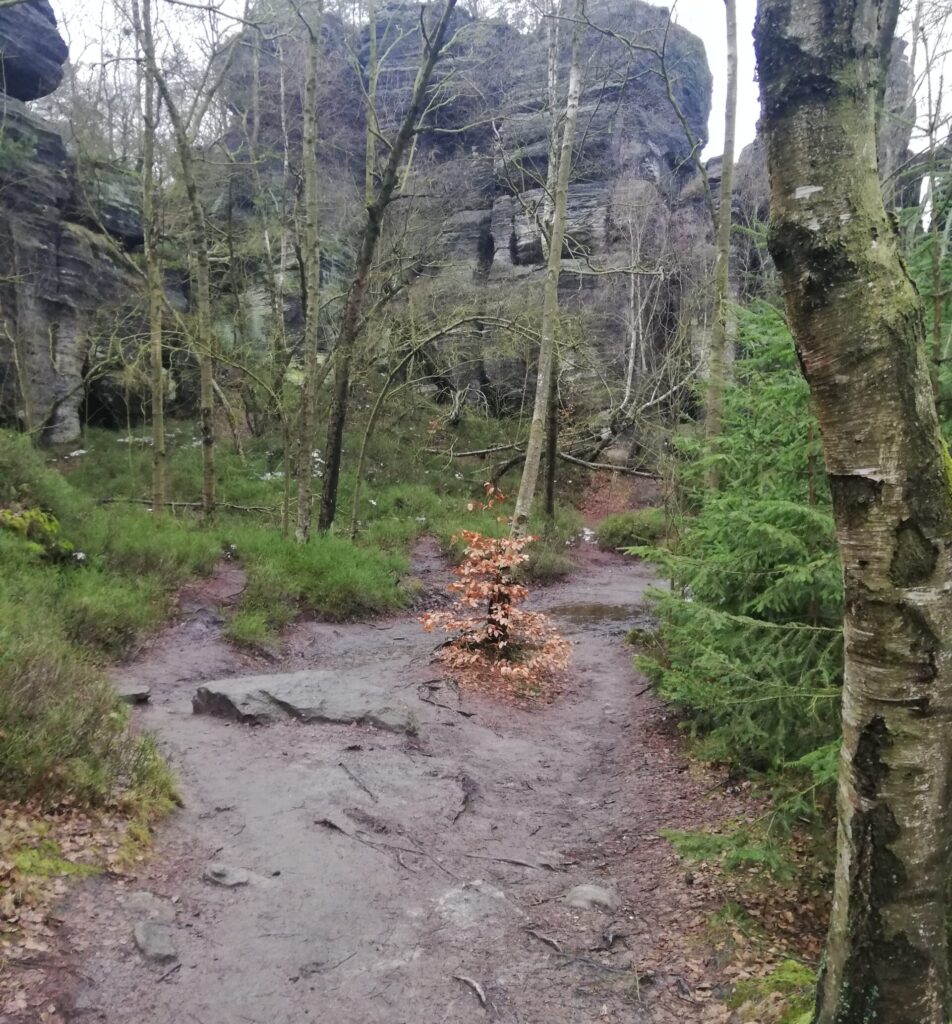 Ground puddle forming at the bottom of Tisa Rocks Czech Republic.