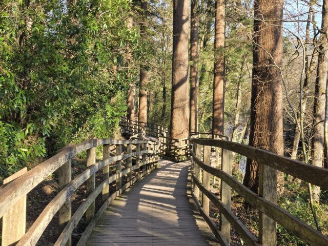 You are currently viewing How To Spend A Weekend In Betws-y-Coed Without A Car