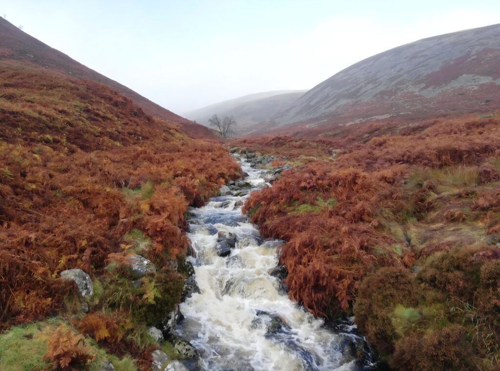 Stream around High Pike, Cumbrian Way