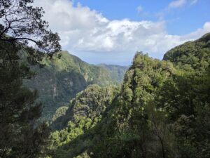 Read more about the article How To Explore Madeira Without A Car