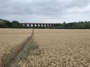 Read more about the article Where To Go Hiking In The Midlands, UK